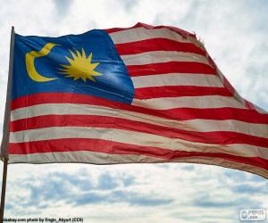 yapboz Malezya bayrağı